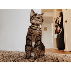 Meet your Posher, Samantha